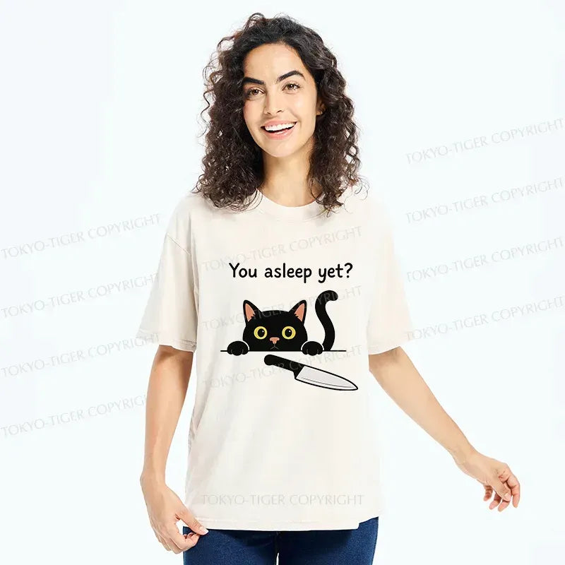 Kyoto-Lion Cat With Murderous Intent Washed T-Shirt