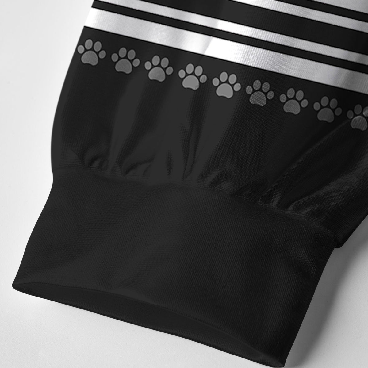 Kyoto-Lion The Cat Is Watching Today Paneled Long Sleeve Jersey