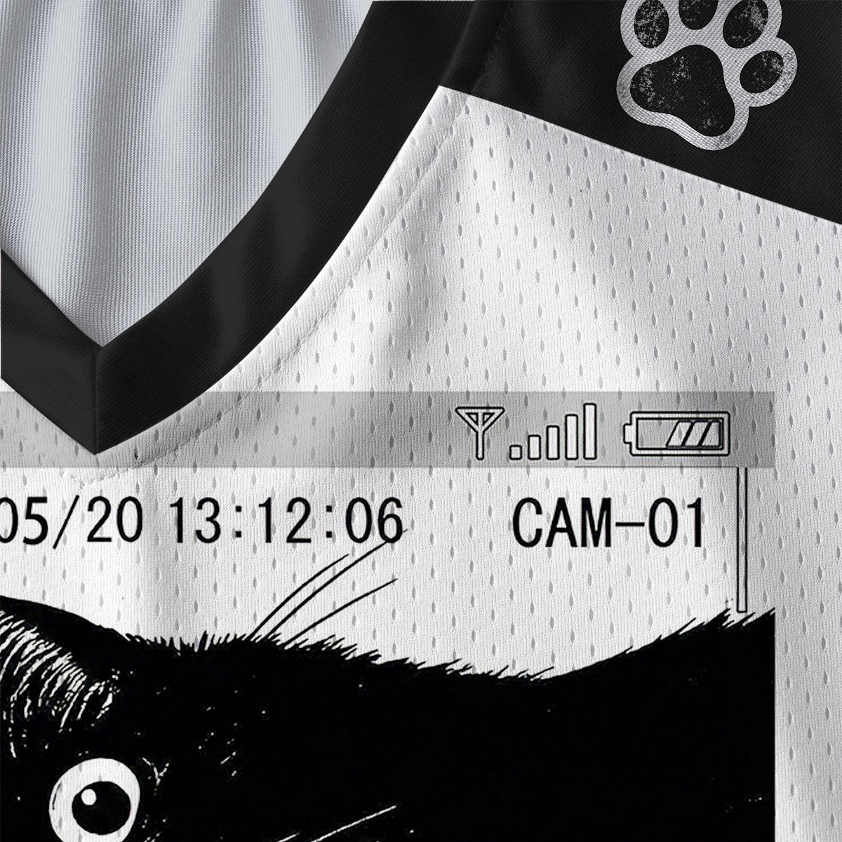Kyoto-Lion The Cat Is Watching Today Paneled Long Sleeve Jersey