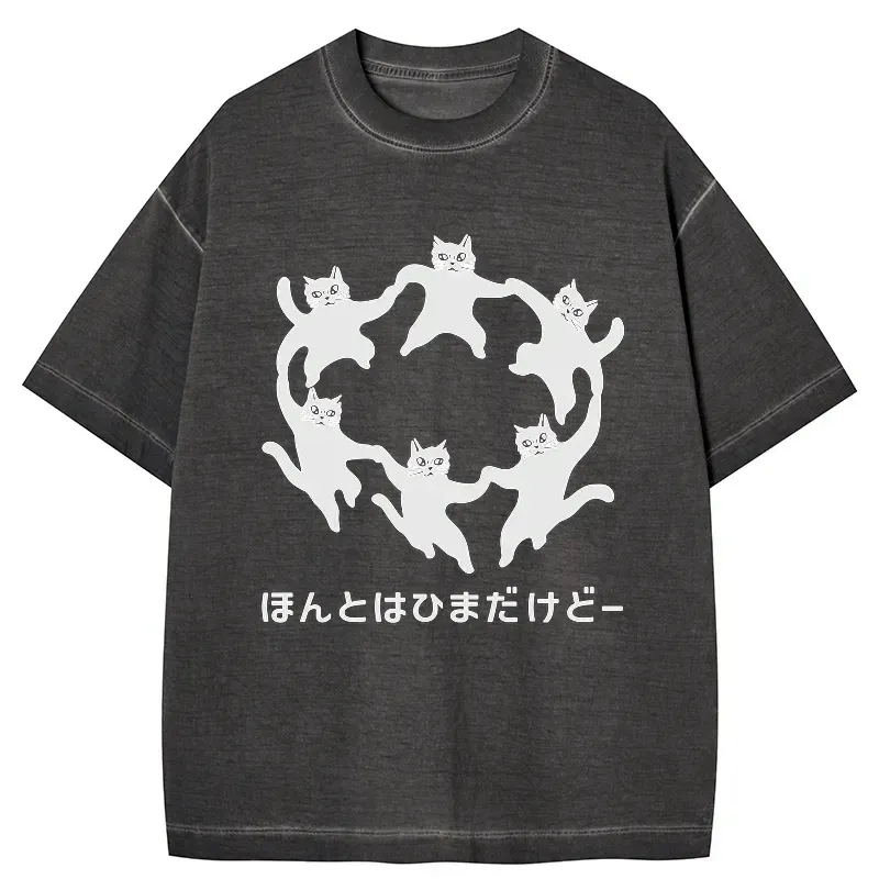 Kyoto-Lion Leisure Cats Japanese Gradient Washed T-Shirt