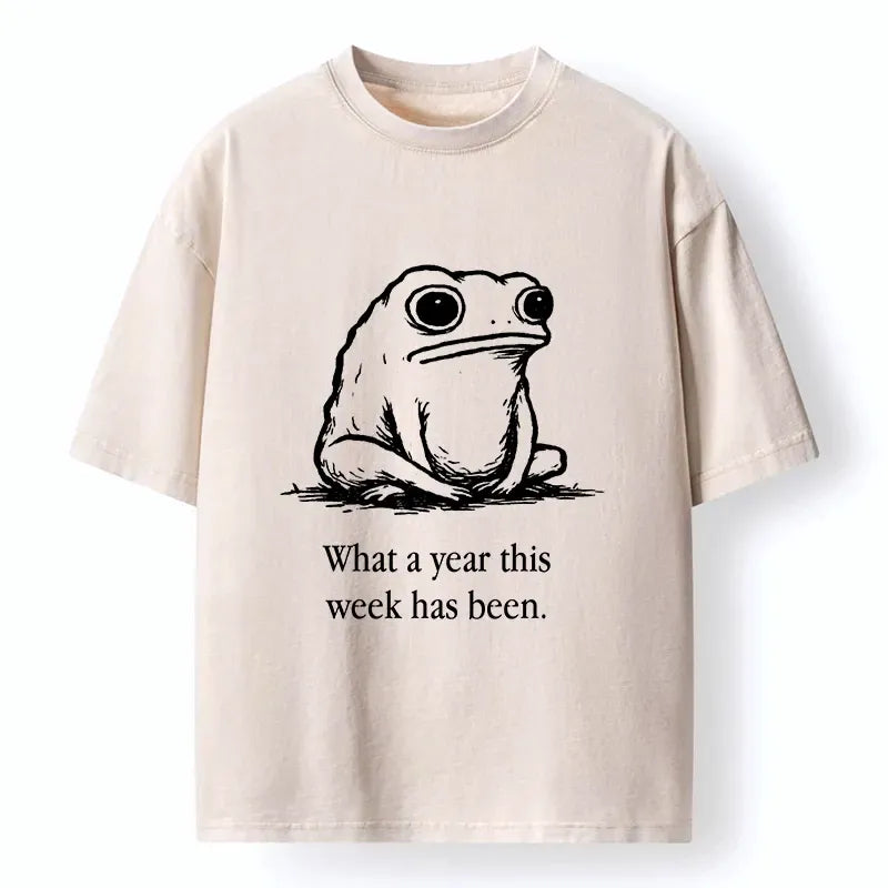 Kyoto-Lion This Week Feels Like A Whole Year Washed T-Shirt