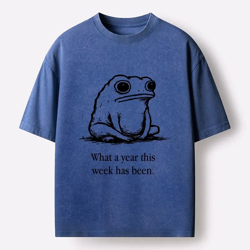 Kyoto-Lion This Week Feels Like A Whole Year Washed T-Shirt