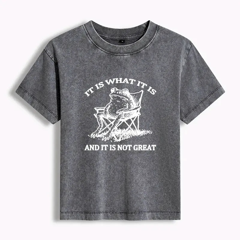 Kyoto-Lion Resting Frog Funny Women's Washed T-shirt