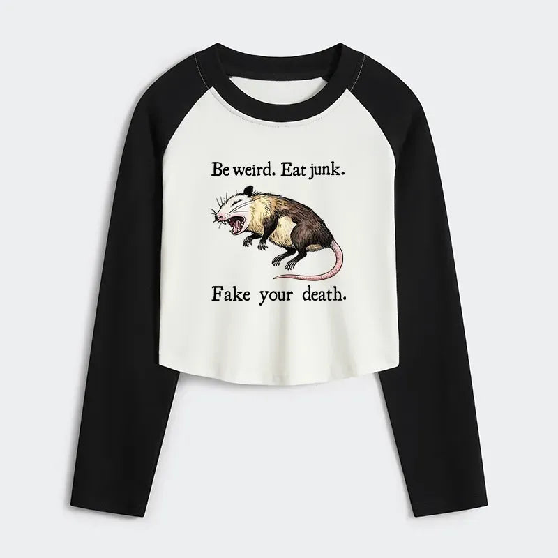 kyoto lion tee on sale