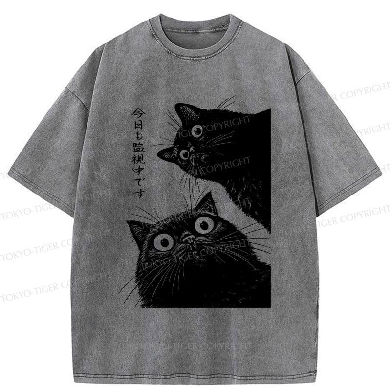 Kyoto-Lion The Cat Is Watching Today Washed T-Shirt