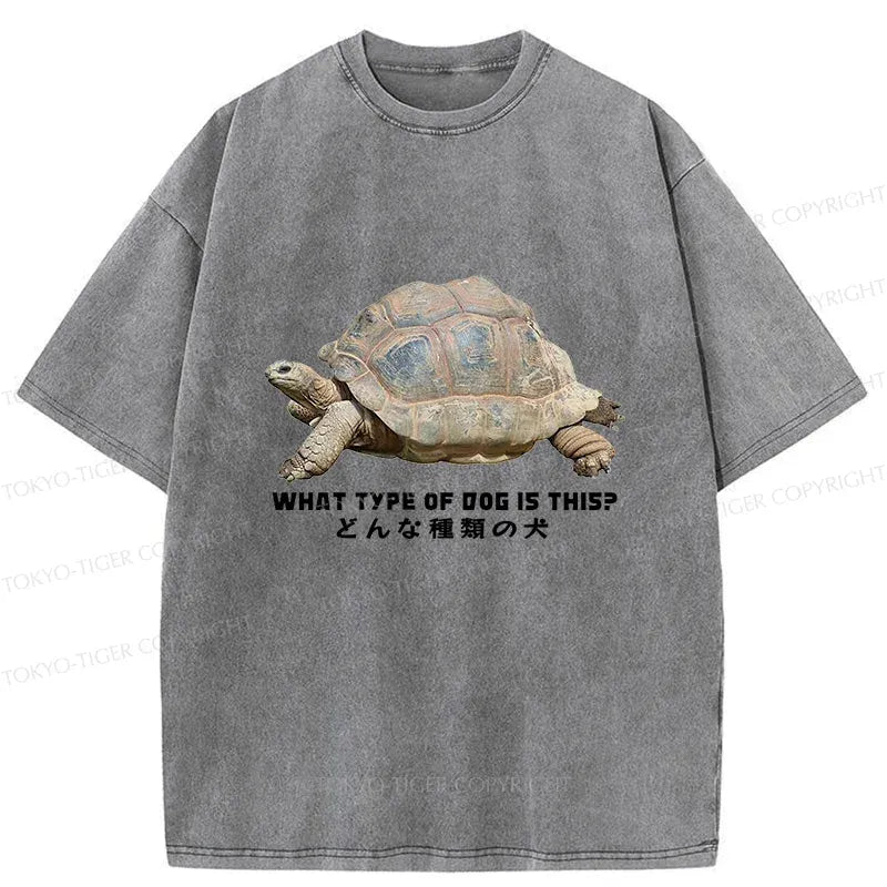 Kyoto-Lion Slow Crawling Dog Washed T-Shirt