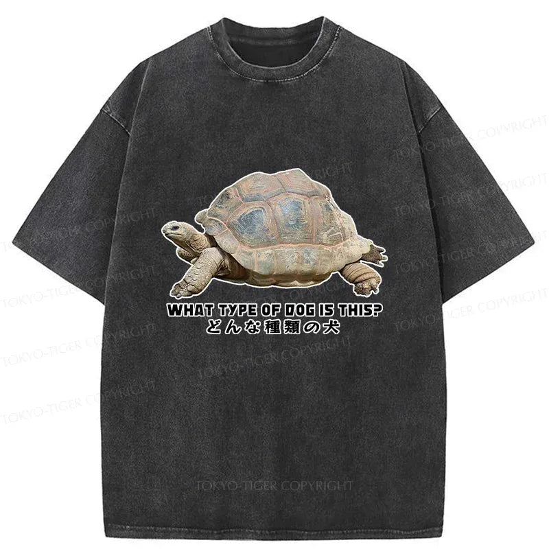 Kyoto-Lion Slow Crawling Dog Washed T-Shirt