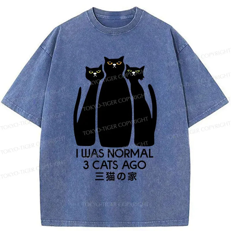 Kyoto-Lion Three Cats House Washed T-Shirt