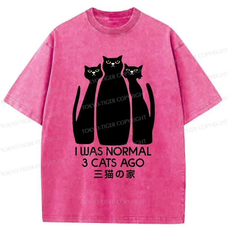Kyoto-Lion Three Cats House Washed T-Shirt