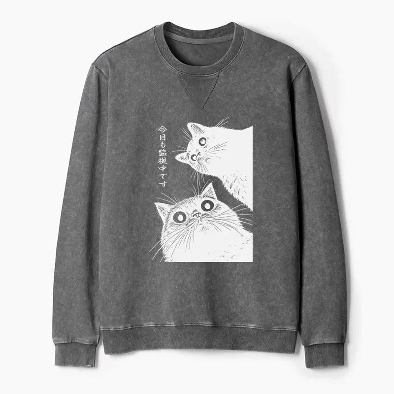 Washed terry cat sweatshirt for spring