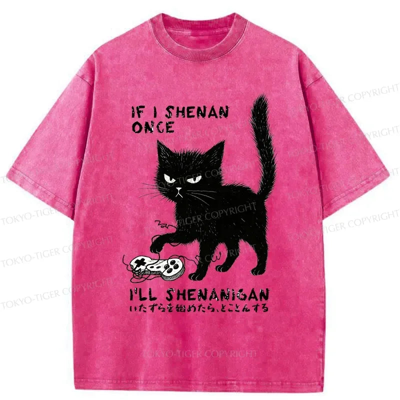 Kyoto-Lion If I Shenan Once I'll Shenanigan Funny Washed T-Shirt