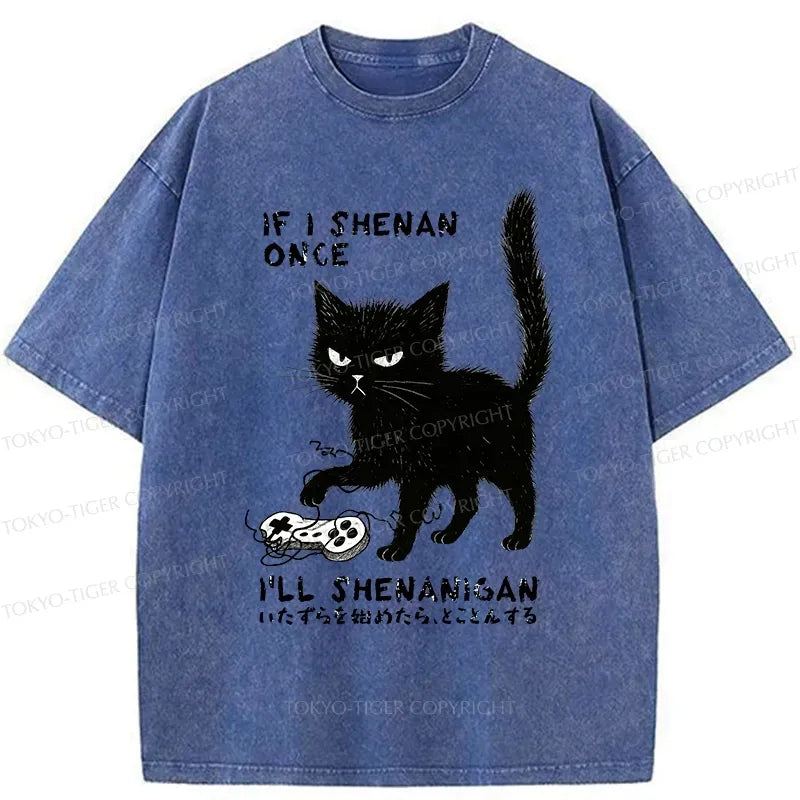 Kyoto-Lion If I Shenan Once I'll Shenanigan Funny Washed T-Shirt