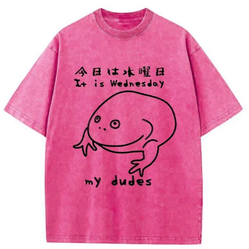 Kyoto-Lion Today Is Wednesday Washed T-Shirt