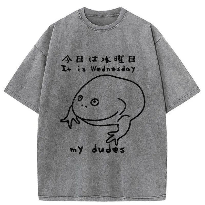 comfortable unisex cotton t-shirt best seller