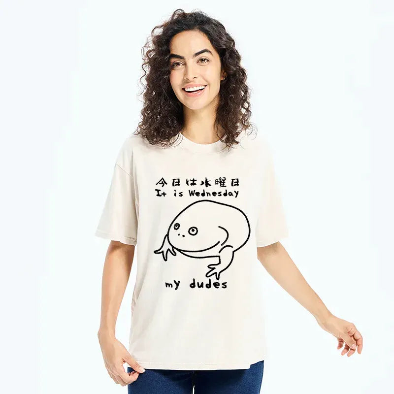 japanese washed t-shirt for daily wear