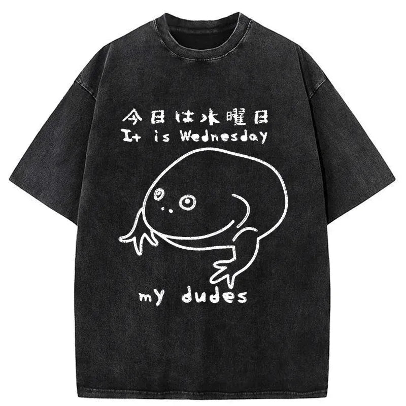 Kyoto-Lion Today Is Wednesday Washed T-Shirt