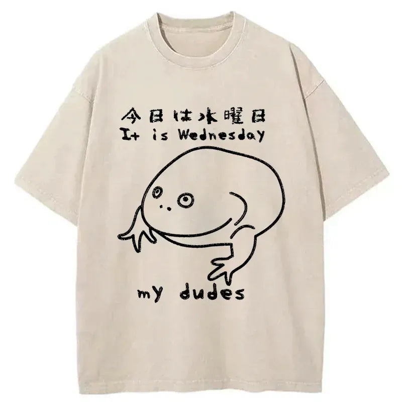 Kyoto-Lion Today Is Wednesday Washed T-Shirt