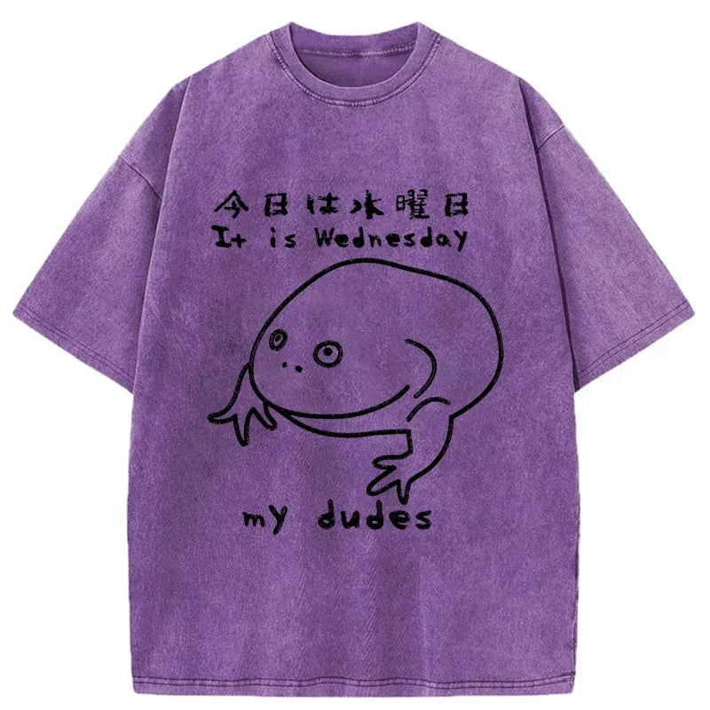 Kyoto-Lion Today Is Wednesday Washed T-Shirt