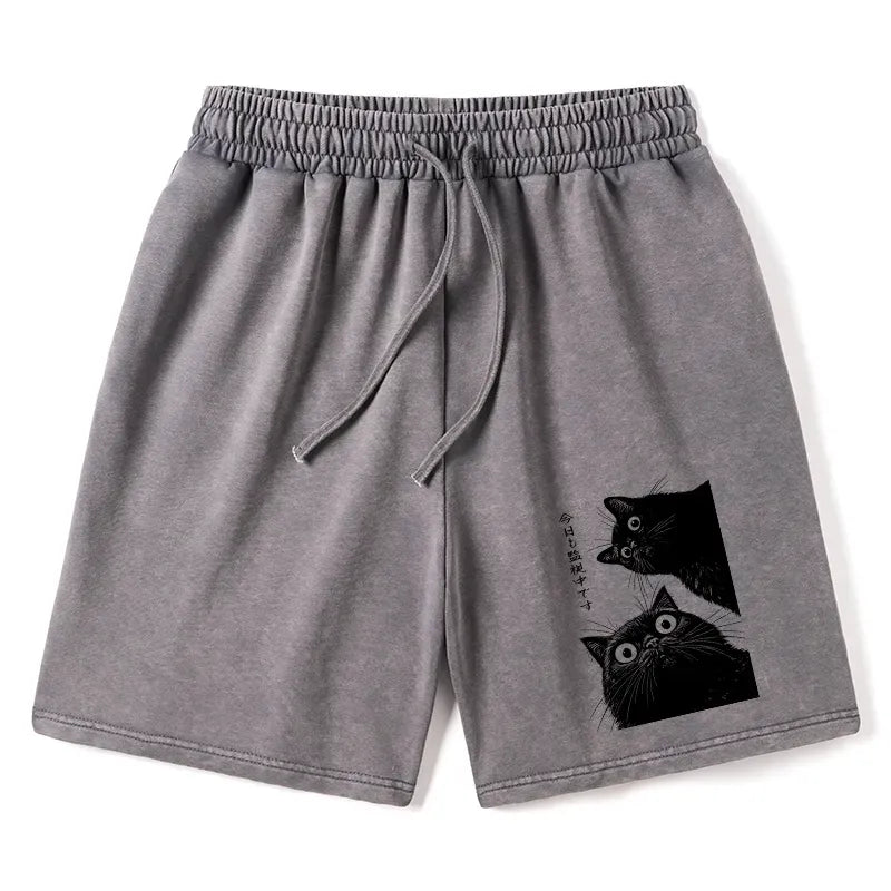 Kyoto-Lion The Cat Is Watching Today Washed Shorts