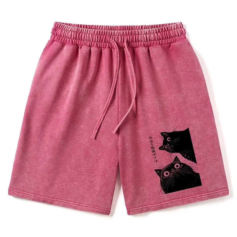 Kyoto-Lion The Cat Is Watching Today Washed Shorts