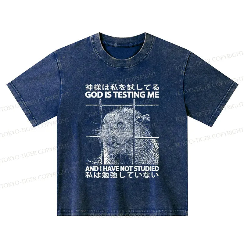 Funny Kyoto lion shirt for kids