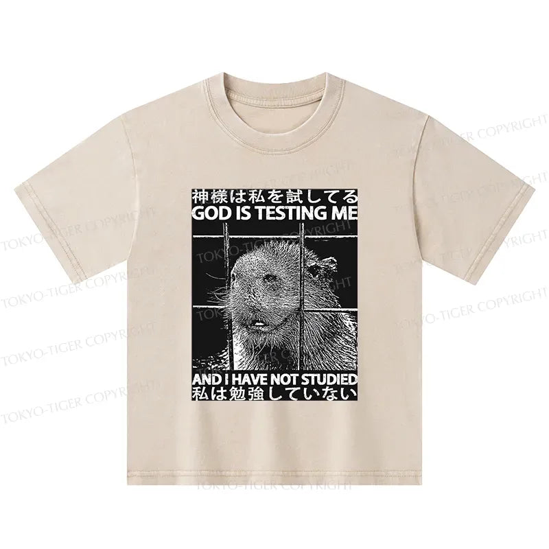 Kyoto-Lion God Is Testing Me Kids Washed T-Shirt