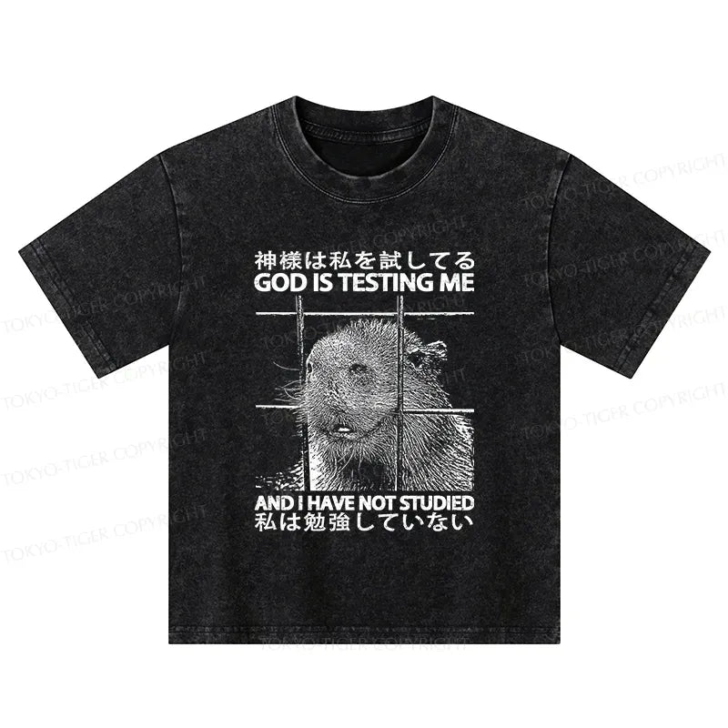 Kyoto-Lion God Is Testing Me Kids Washed T-Shirt