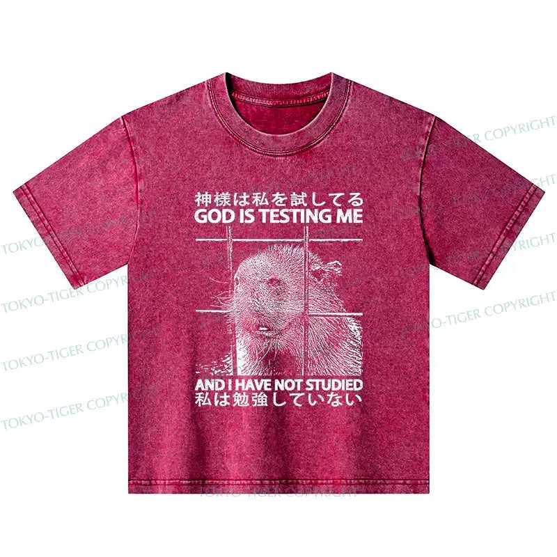 Kyoto-Lion God Is Testing Me Kids Washed T-Shirt