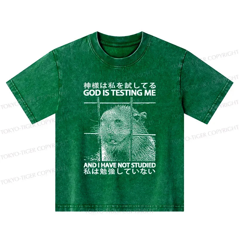 Kyoto-Lion God Is Testing Me Kids Washed T-Shirt