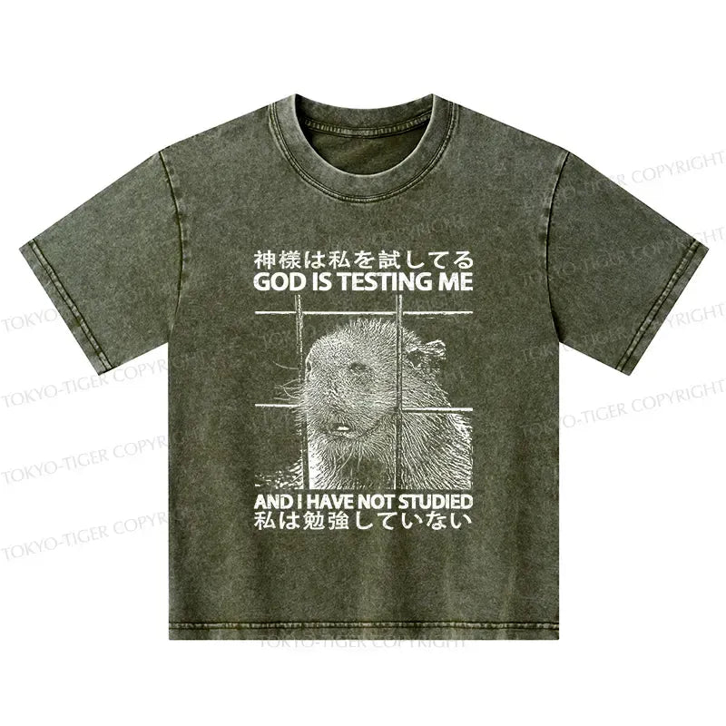 Funny Kyoto lion shirt for kids
