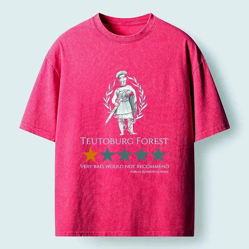 Kyoto-Lion Teutoburg Forest Is Not Recommended Washed T-Shirt