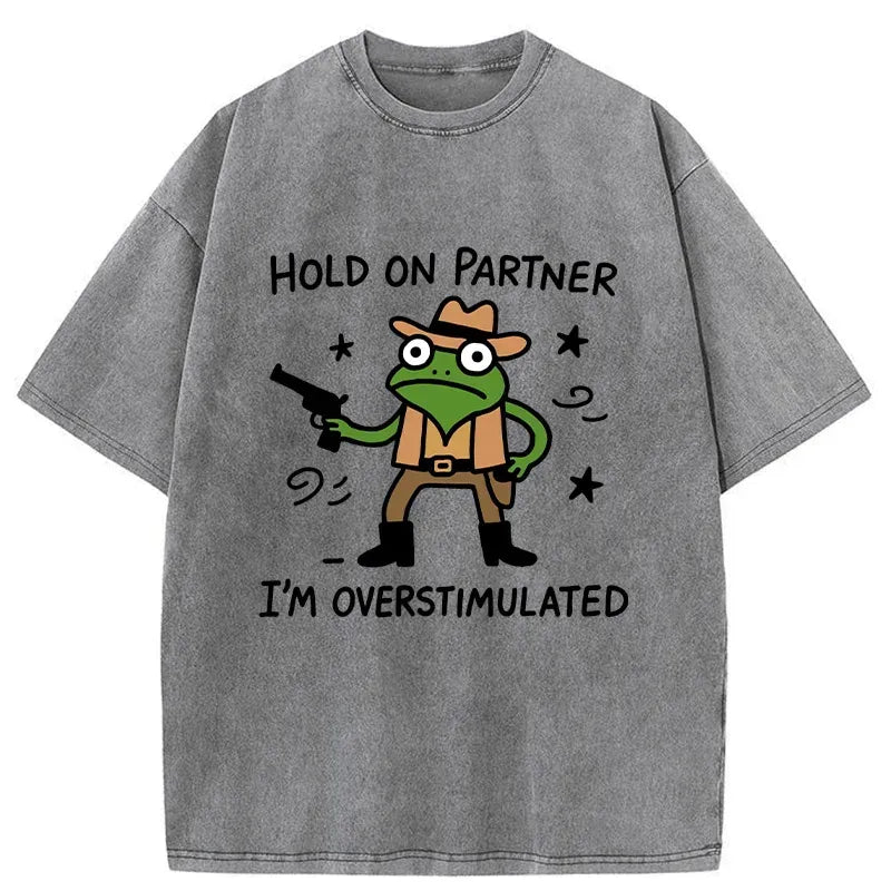 Kyoto-Lion Overstimulated Frog Funny Washed T-Shirt
