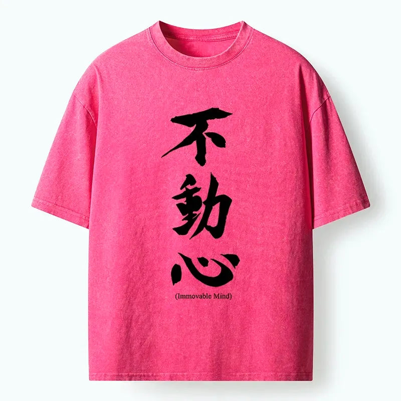 Japanese Zen Art Washed T-Shirt