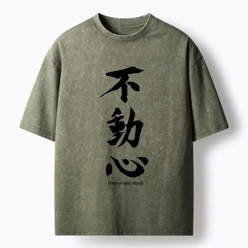 Japanese Zen Art Washed T-Shirt