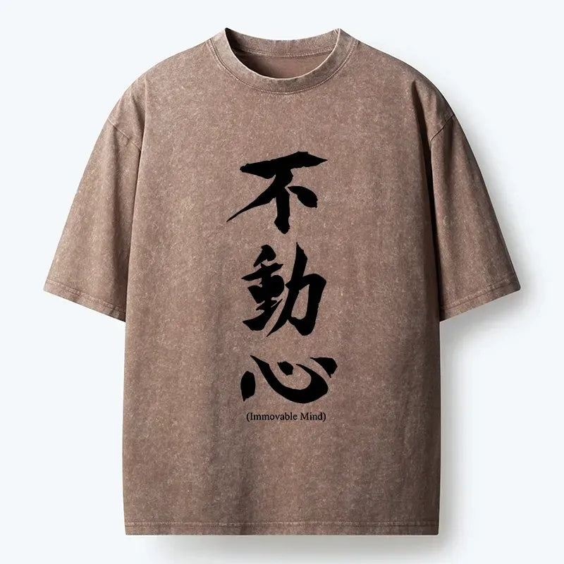 Japanese Zen Art Washed T-Shirt