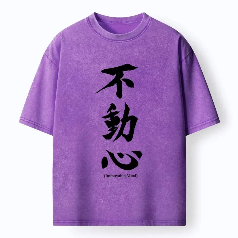Japanese Zen Art Washed T-Shirt