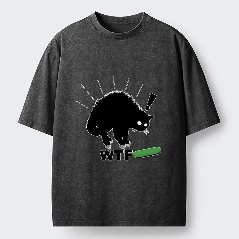 Kyoto-Lion Cat Vs Cucumber Chaos Washed T-Shirt