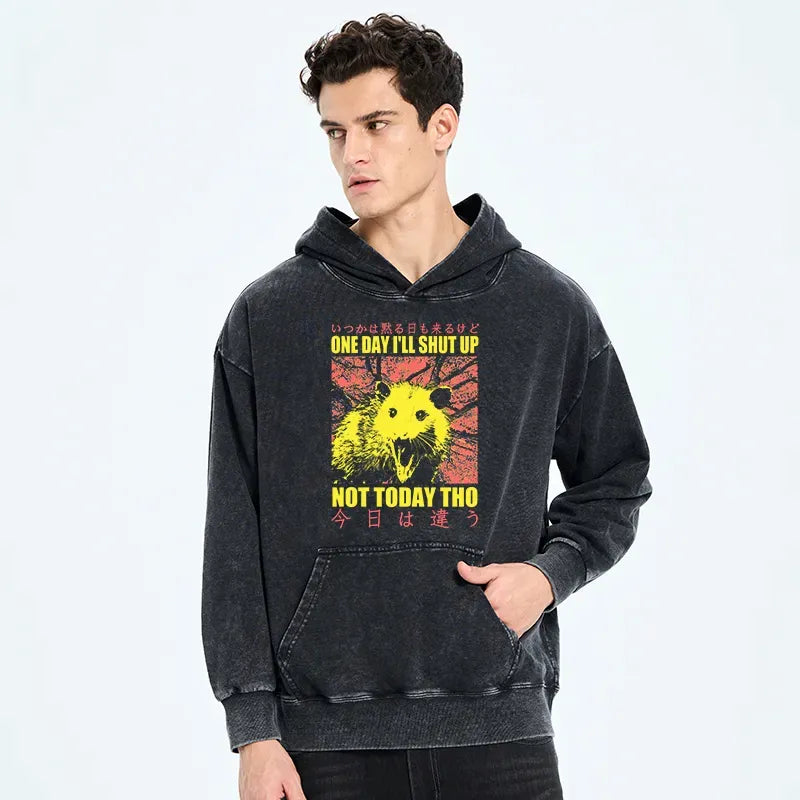 kyoto lion streetwear hoodie free shipping