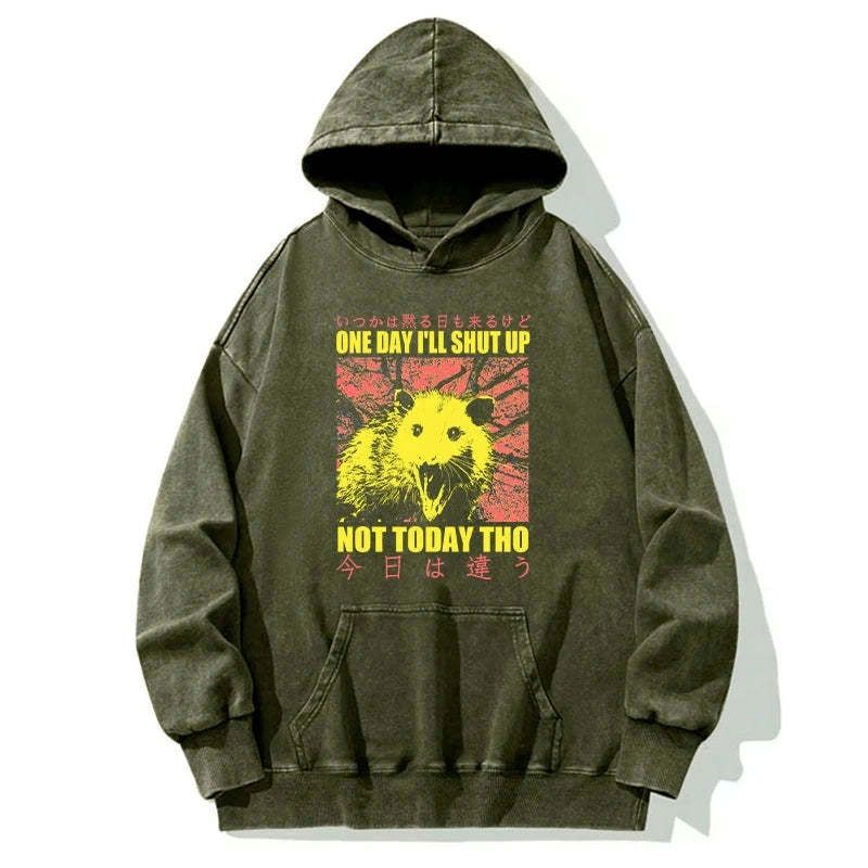 kyoto lion streetwear hoodie free shipping