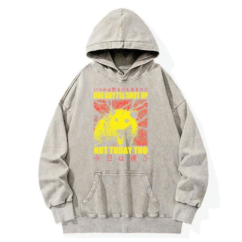 Kyoto-Lion Negative Possum Japanese Washed Hoodie