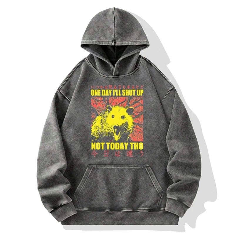 kyoto lion streetwear hoodie free shipping