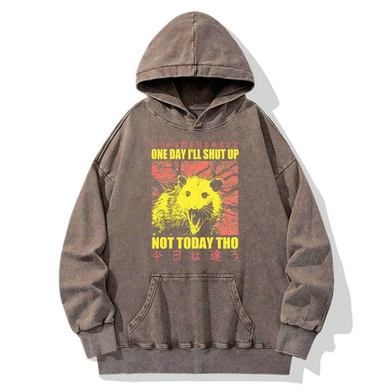 Kyoto-Lion Negative Possum Japanese Washed Hoodie