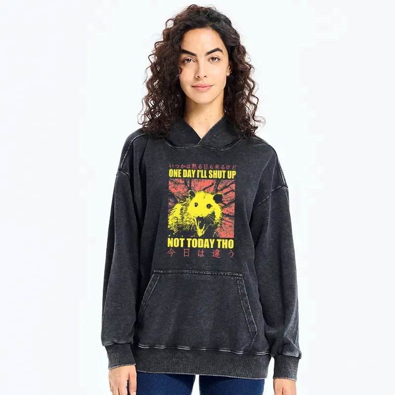 Kyoto-Lion Negative Possum Japanese Washed Hoodie