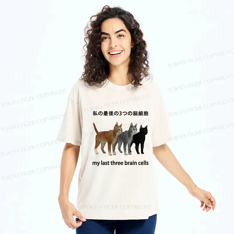 Kyoto-Lion My Last Three Brain Cells Washed T-Shirt