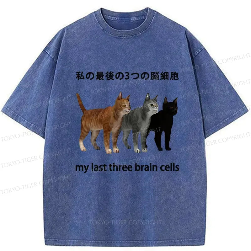 Kyoto-Lion My Last Three Brain Cells Washed T-Shirt