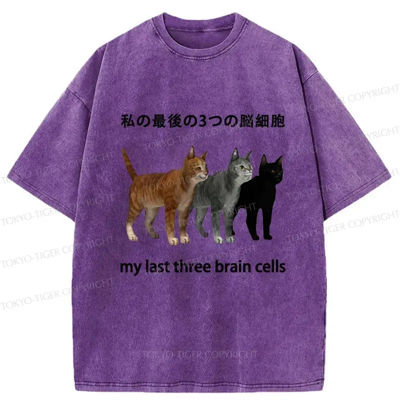 Kyoto-Lion Japanese Vintage T-Shirt for Daily Wear