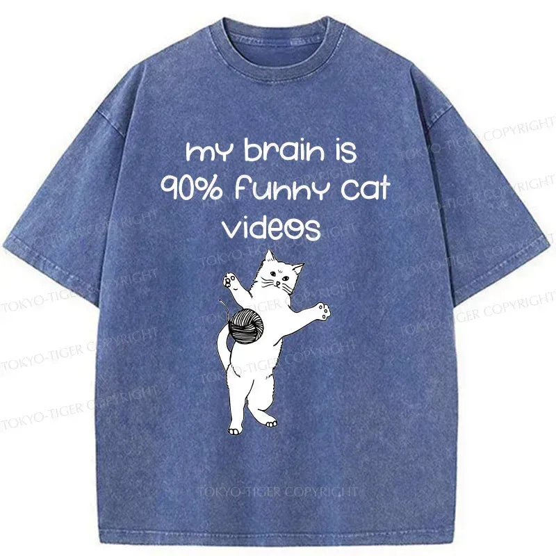 Kyoto washed cat t-shirt with vintage design