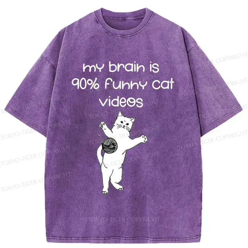 Japanese funny cat t-shirt for anime fans