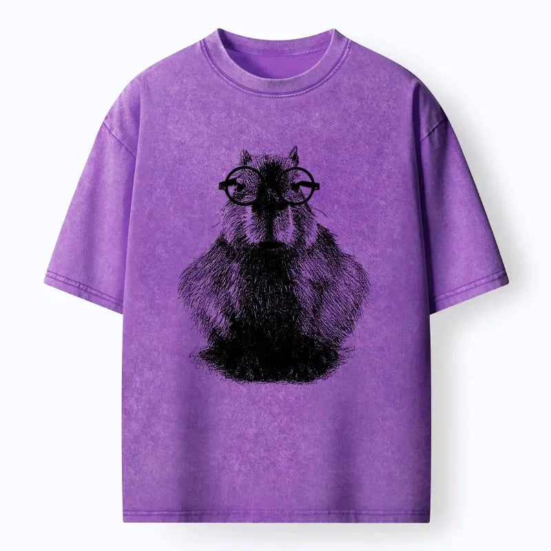 Smart Capybara Washed T-Shirt for Daily Wear