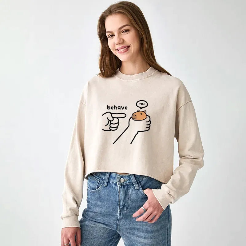 Dishonest Capybara Japanese Streetwear Sweatshirt